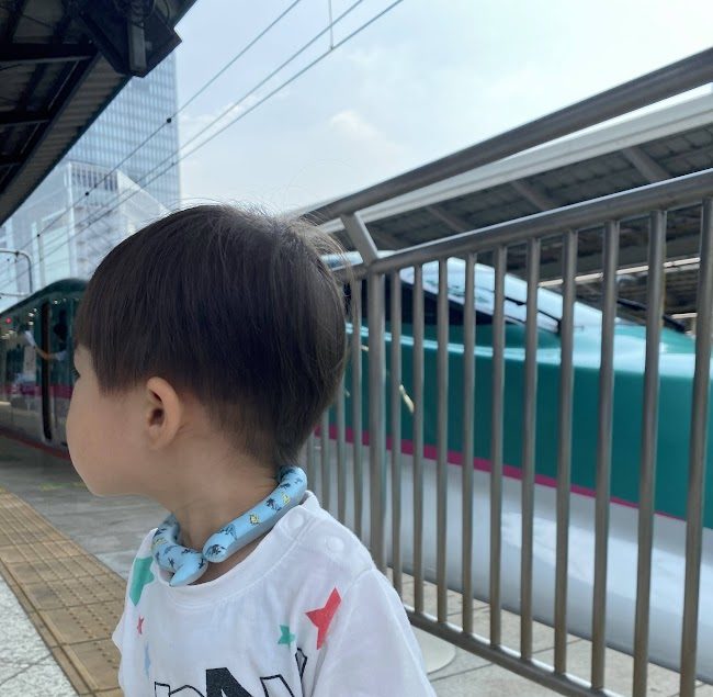 2歳新幹線安くのる方法